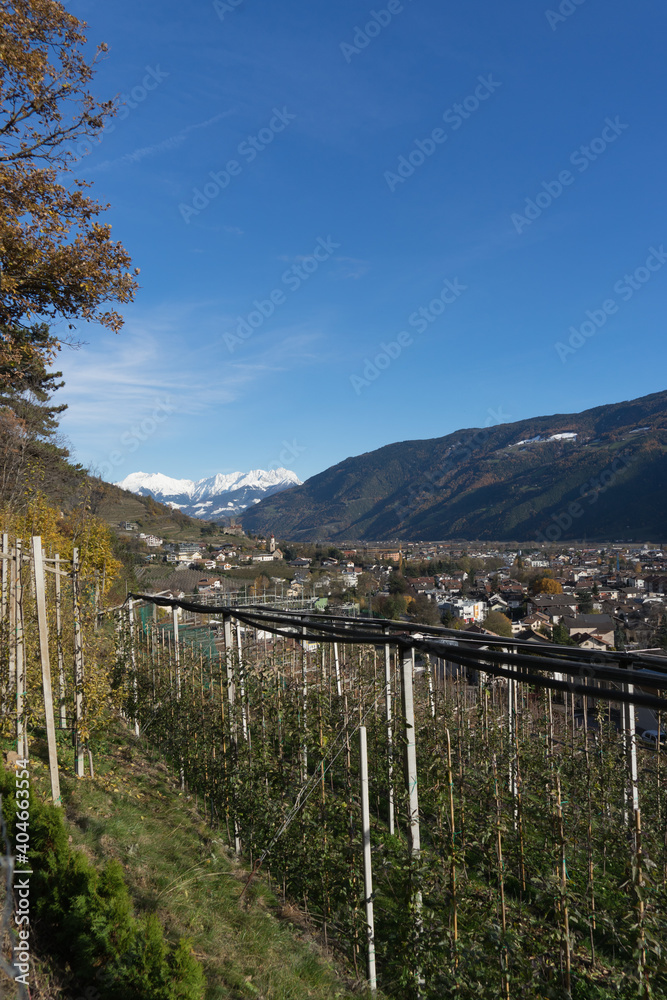 Fototapeta premium Picturesque mountain landscape in South Tyrol in autumn, view from a hiking trail nearby a vineyard to the valley of Naturns, in the background the snow-covered Alps, no people