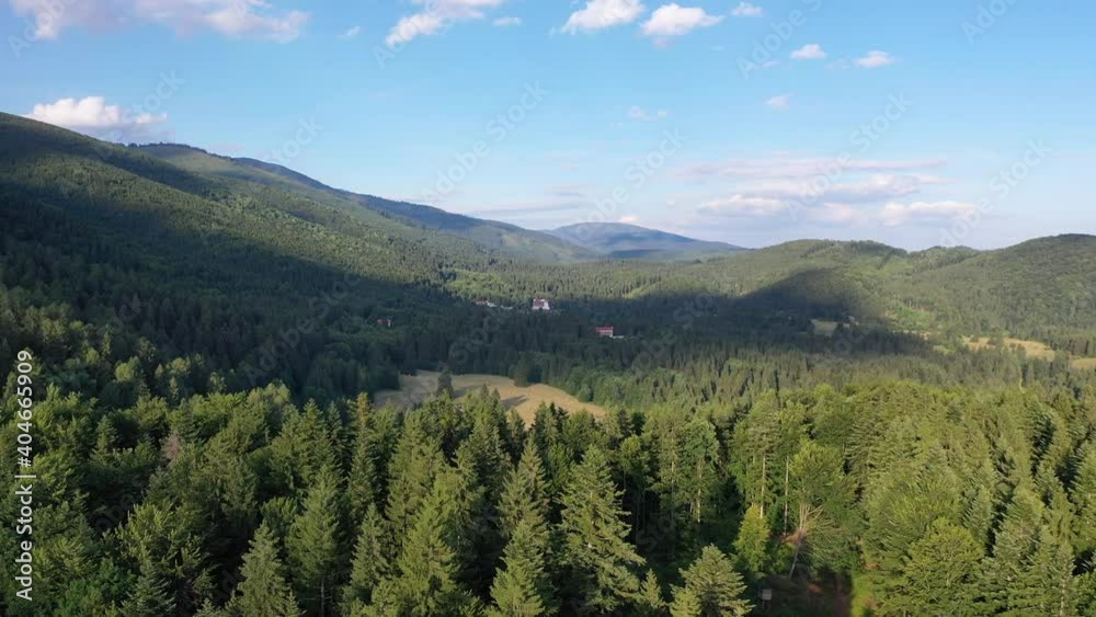 Aerial, drone shot of spruce trees, fly over a coniferous forest and field, Low Tatras, Slovakia Aerial, drone shot of spruce trees, fly over a coniferous forest and field, Low Tatras, Slovakia