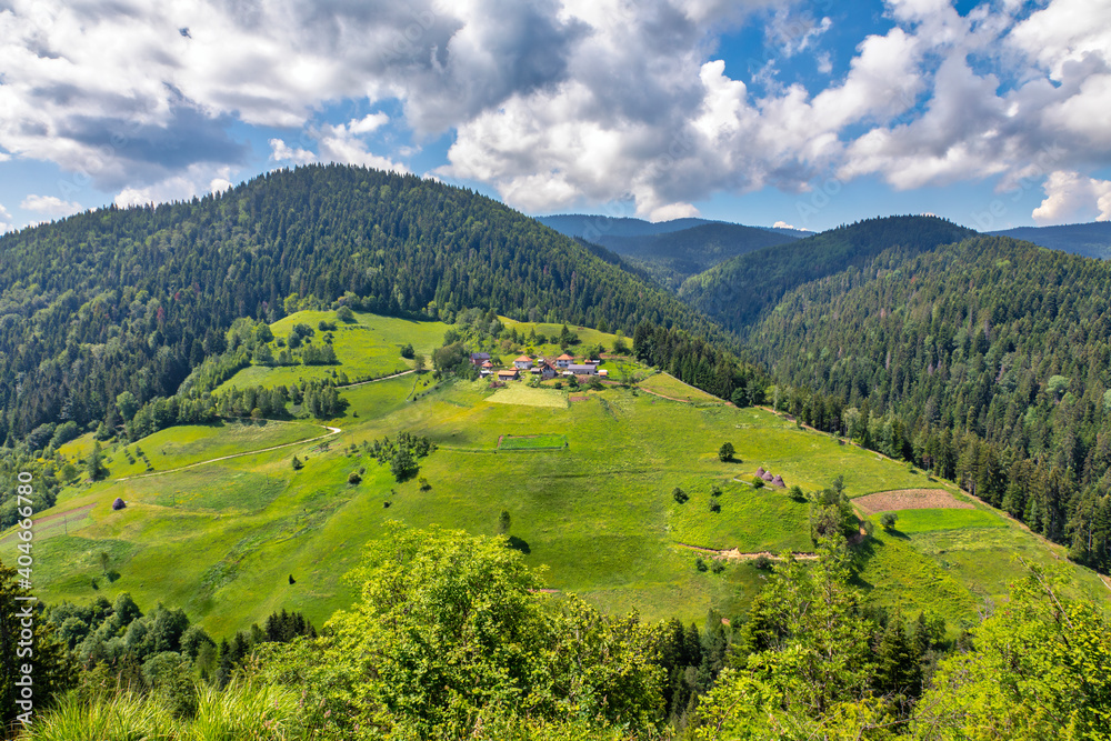 Beautiful Zlatar mountain, popular tourist destination. Green pine forests, hills and meadow. Serbia