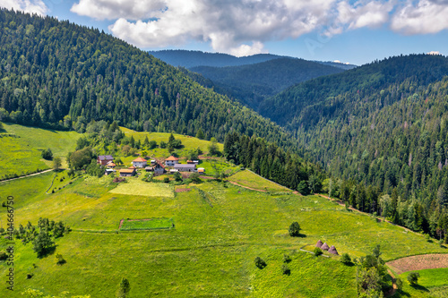 Beautiful Zlatar mountain, popular tourist destination. Green pine forests, hills and meadow. Serbia photo