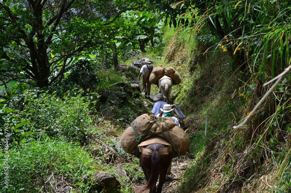 Photography Arrieros de Antioquia