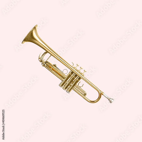musical instrument trumpet on a pink background