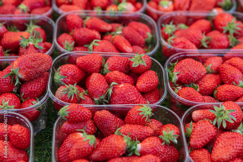 display of strawberry trays