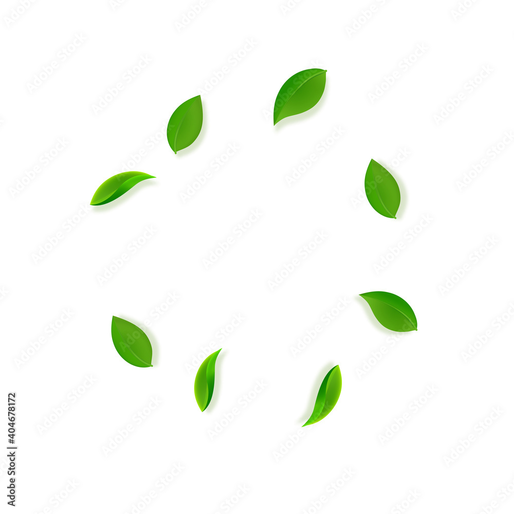 Falling green leaves. Fresh tea neat leaves flying. Spring foliage dancing on white background. Adorable summer overlay template. Ecstatic spring sale vector illustration. Falling green leaves. Fresh tea neat leaves flying. Spring foliage dancing on white background. Adorable summer overlay template. Ecstatic spring sale vector illustration.