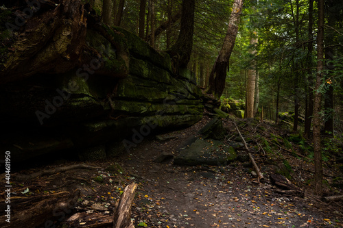 Worn Trail Passes By Mossy Cliff