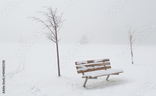 snow covered empty wooden bench and two small trees in a ghostly winter fog