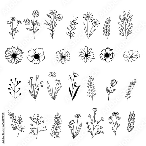 Vector Hand drawn flower and leaf elements, Vintage flowers doodle collection design, template, wedding card, invitation, greeting card, poster, postcard.