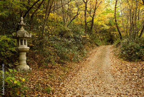 Stone lantern and path through autumn color to Seonamsa Buddhist temple, Jogyesan Provincial Park, South Korea photo