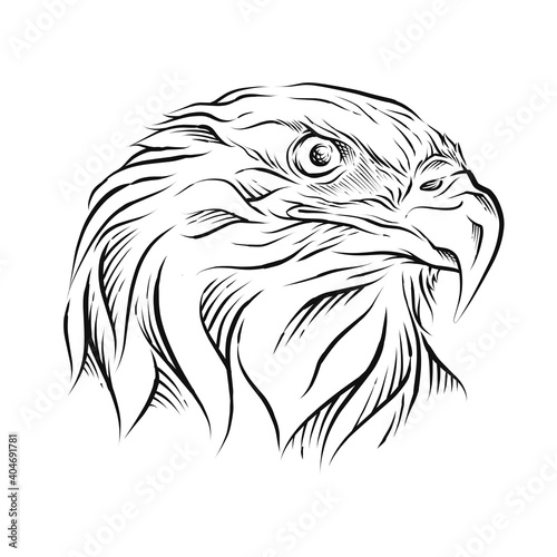 Fototapeta Naklejka Na Ścianę i Meble -  Eagle Head hand drawn illustration