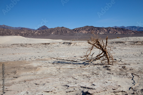 Sand dunes in Death Valley