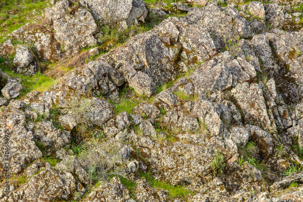 Moss growing on rock boulders