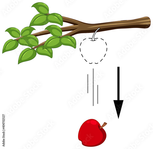 Falling apple for gravity experiment photo