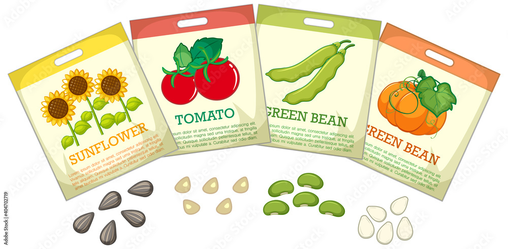 Set of different seed packaging on white background
