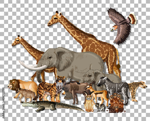 Group of wild african animals on transparent background