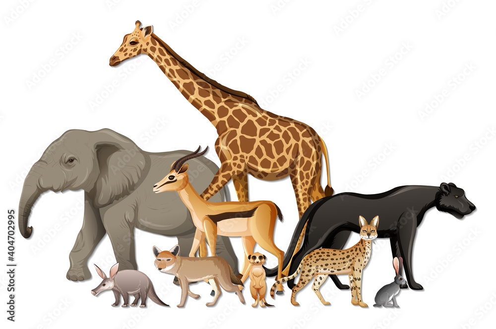 Fototapeta premium Group of wild African animals on white background