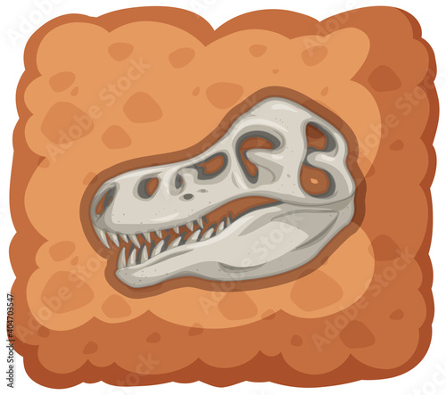 Fossil of extinct dinosaur on white background
