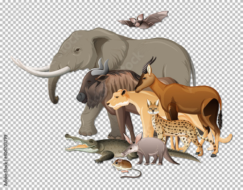 Group of wild african animals on transparent background