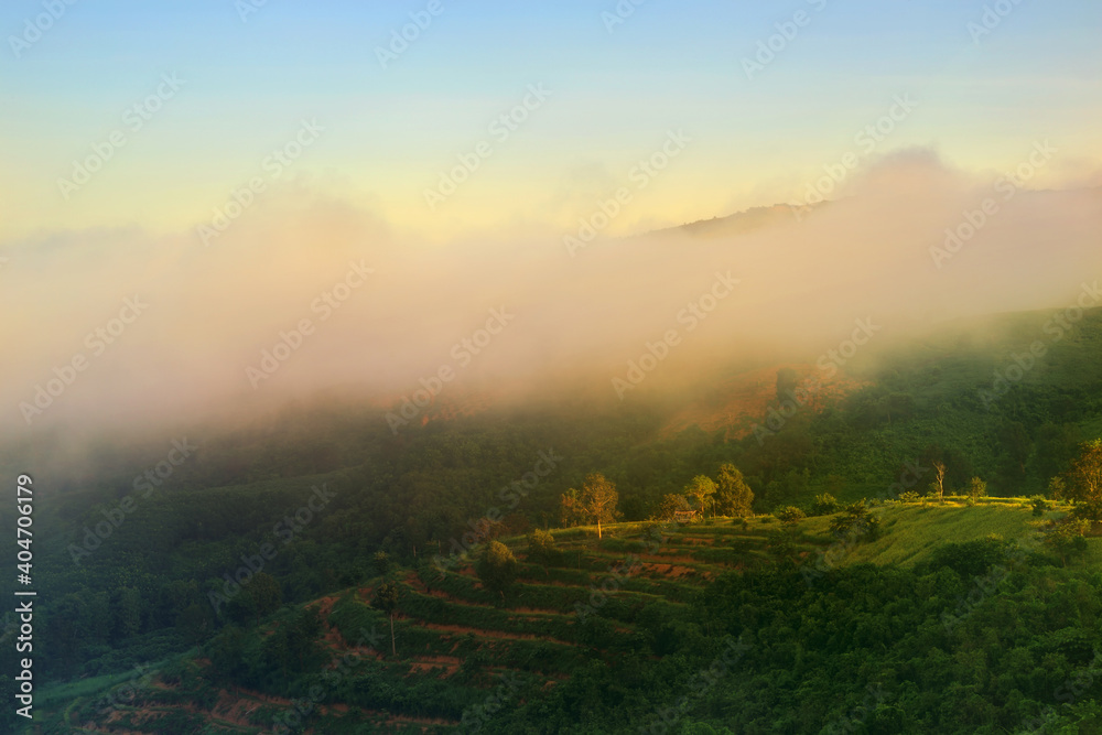 Obraz premium Selective focus of view nature mountain with fog in beautiful sunrise at Nan province of Northern Thailand.