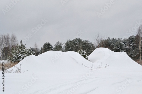 Winter Landscape with Snow and Trees. Overcast and winter