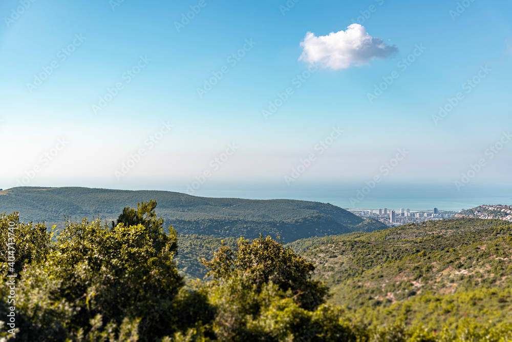 View of forest, sea, and city under a blue sky. A view of Mount Carmel, Little Switzerland, overlooking the city of Haifa from above. Israel. High Quality photo