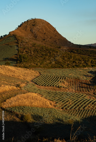 Paisaje agavero o paisaje de agaves a las faldas del volcán de tequila