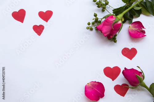 pink rose flower with draw red heart postcard valentine day for special love arrangement flat lay style on background white 