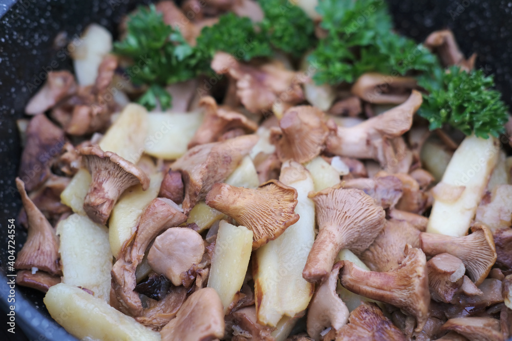 fried Chanterelle or girolle mushrooms with potatoes. fried casserole. summer and autumn seasonal lunch. close up view. homemade dinner. home cooking. forest mushrooms. fried Chanterelle or girolle mushrooms with potatoes. fried casserole. summer and autumn seasonal lunch. close up view. homemade dinner. home cooking. forest mushrooms.