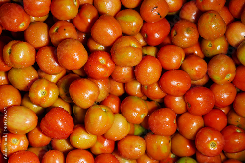 Delicious red tomatoes it can be used as background. (selective focus). Tomato vegetable concept space for banner top view. Tomatoes for background. Healthy eyes with regular consumption of tomatoes.