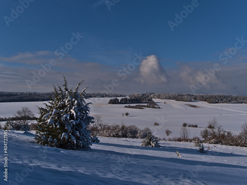 Beautiful winter landscape in low mountain range Swabian Alb near Burladingen, Germany with snow-covered meadows and coniferous tree throwing shadow on sunny day. photo