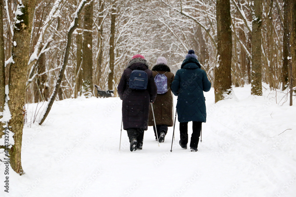 Nordic walking, healthy lifestyle. Three women with sticks in winter park during snowfall, cold weather