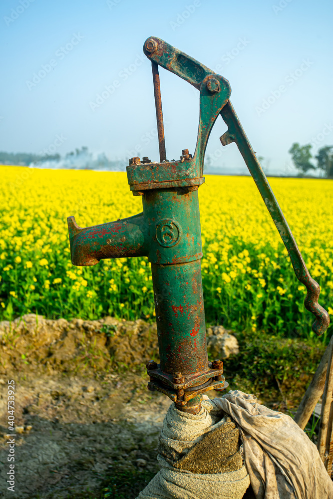 Hand water tube well used to supply water to agricultural lands. Yellow mustard flower beautiful scenery with manual water tube well. Hand water tube well used to supply water to agricultural lands. Yellow mustard flower beautiful scenery with manual water tube well.