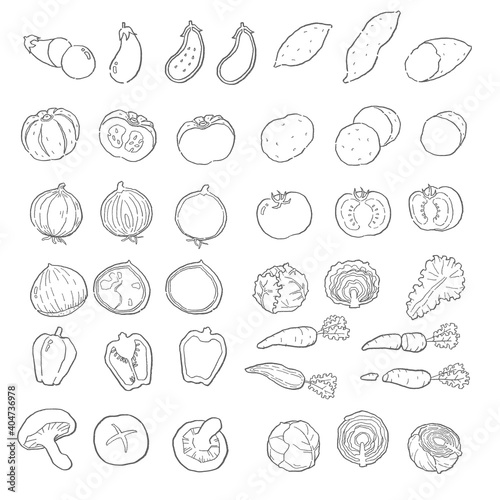 野菜の手描きベクター線画セット