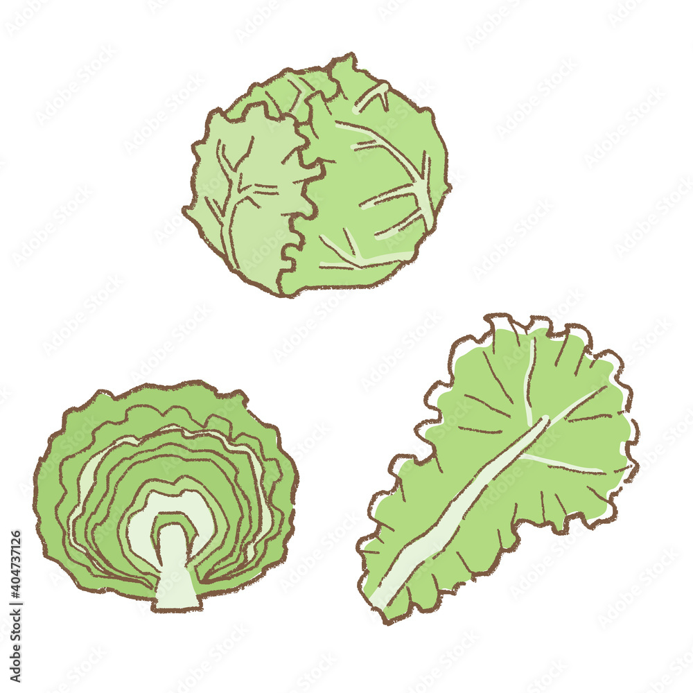 レタスの手描き線画ベクターイラストセット レタスの手描き線画ベクターイラストセット