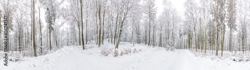 scenic winter landscape at the Platte forest in Wiesbaden