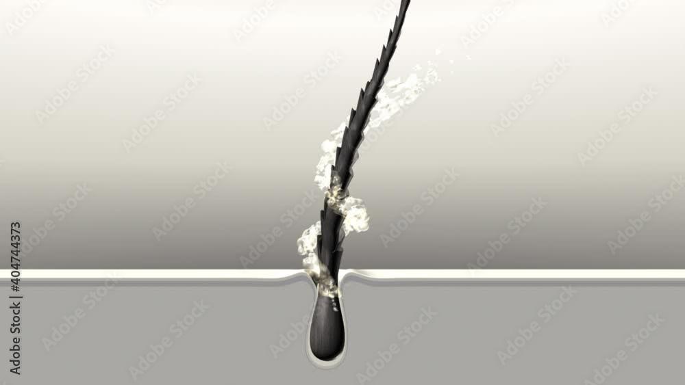 Hair treatment technology. Restore of the damaged hair with split ends. Nourishment and strengthening from roots to tips. Oil drops splash motion around the hair follicle. 3d animation. 