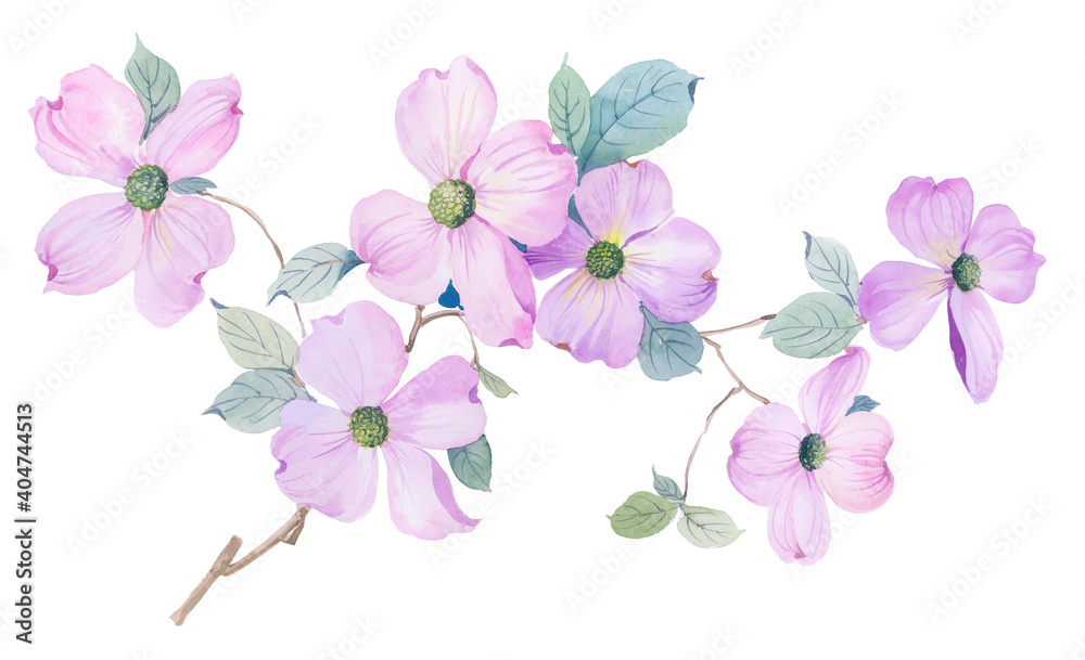 Watercolor illustration of flowers and leaves.Manual composition.Design for cover, fabric, textile, wrapping paper . Watercolor illustration of flowers and leaves.Manual composition.Design for cover, fabric, textile, wrapping paper .