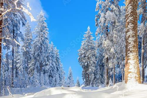 Beautiful wintry background with a lot of snow