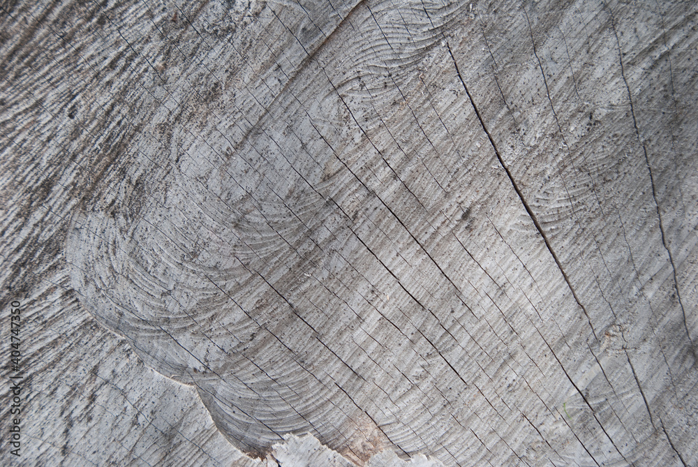 Fototapeta premium holz für hintergrund