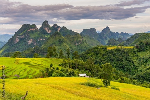 Landscape photo in Tua Chua district  Dien Bien province  Vietnam