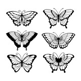 Set of line art butterflies, monochrome illustration butterflies