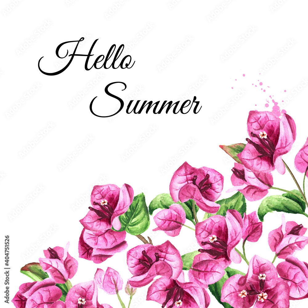 Pink Bougainvillea branches with flowers and leaves, summer card. Hand drawn watercolor illustration isolated on white background