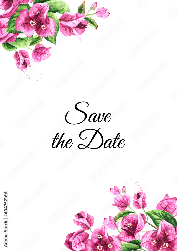 Save the Date card. Pink Bougainvillea branches with flowers and leaves. Hand drawn watercolor illustration isolated on white background