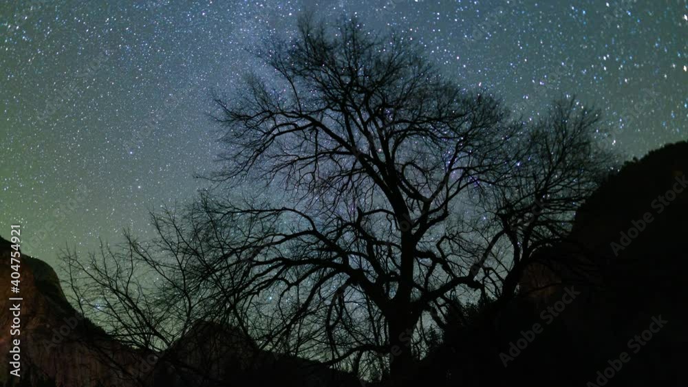 Time lapse of Orion rising through branches of winter tree in Yosemite Valley in California Time lapse of Orion rising through branches of winter tree in Yosemite Valley in California
