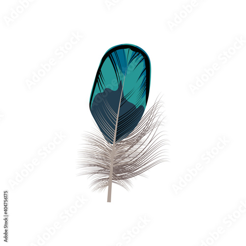 Bright bird feather. Beautiful detailed colorful feather of exotic bird vector illustration isolated on white background