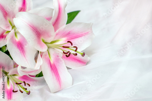  Bouquet of white lilies on white background 