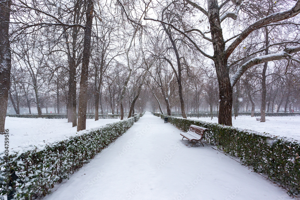 Park covered in snow after the passage of the Filomena Storm through the capital. Extreme cold. Nevada in Madrid. Filomena storm. Park covered in snow after the passage of the Filomena Storm through the capital. Extreme cold. Nevada in Madrid. Filomena storm.