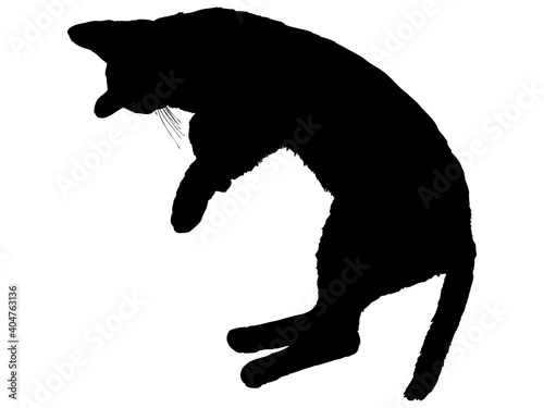 寝転がる猫のシルエット