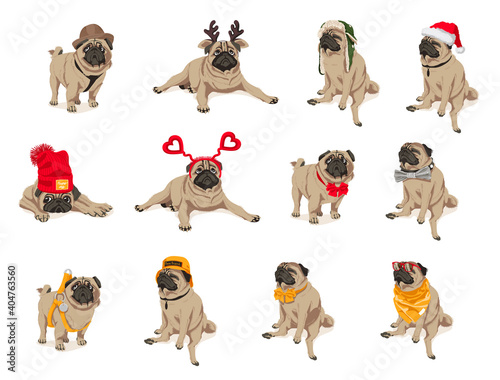 Cute funny pug dogs set. Adorable friendly purebred chubby pet animal wearing trendy clothes and accessories cartoon vector illustration isolated on white background