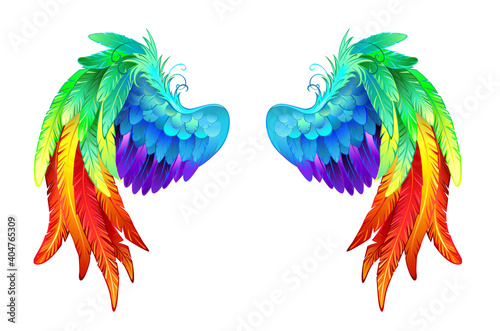 Bright rainbow wings