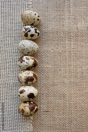 Vertical image of organic farmer quail eggs on natural burlap, linen or hemp fabric background. Easter and organic food concept with copy space for creative design. Top view